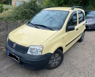 Fiat Panda Gebrauchtwagen