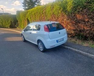 Fiat Punto Gebrauchtwagen