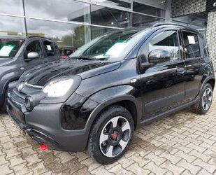Fiat Panda Gebrauchtwagen
