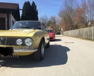 Alfa Romeo Junior Gebrauchtwagen