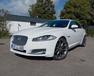 Jaguar XF Gebrauchtwagen