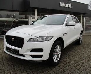 Jaguar F-Pace Gebrauchtwagen