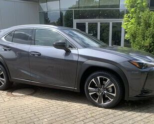 Lexus UX Gebrauchtwagen