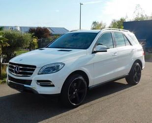 Mercedes-Benz ML 250 Gebrauchtwagen
