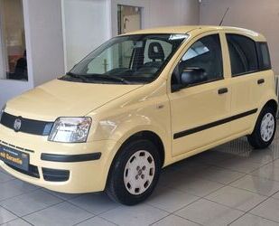 Fiat Panda Gebrauchtwagen