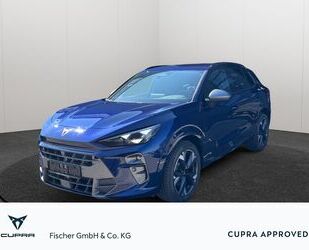 Cupra Terramar Gebrauchtwagen