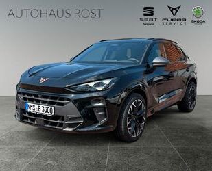 Cupra Terramar Gebrauchtwagen