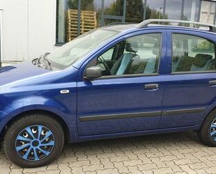 Fiat Panda Gebrauchtwagen