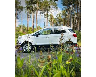 Ford EcoSport Gebrauchtwagen