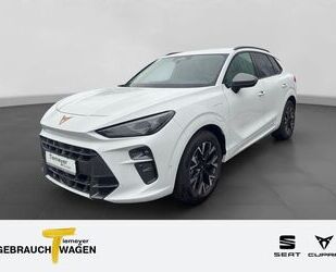 Cupra Terramar Gebrauchtwagen