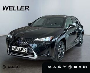 Lexus UX Gebrauchtwagen