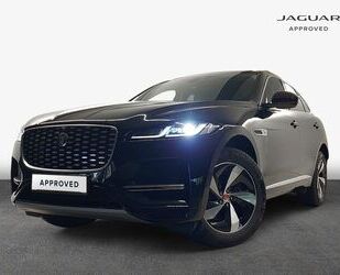 Jaguar F-Pace Gebrauchtwagen
