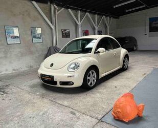 VW New Beetle Gebrauchtwagen