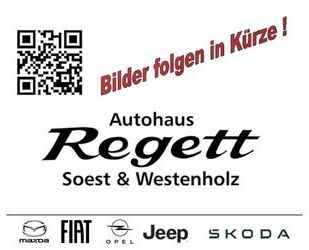 Fiat Fiorino Gebrauchtwagen