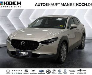 Mazda CX-30 Gebrauchtwagen