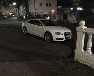 Audi S5 Gebrauchtwagen