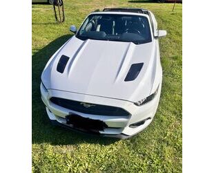 Ford Mustang Gebrauchtwagen