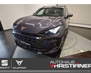 Cupra Terramar Gebrauchtwagen
