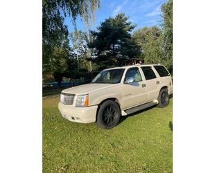 Cadillac Escalade Gebrauchtwagen