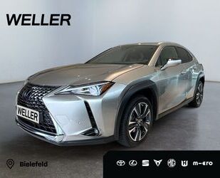 Lexus UX Gebrauchtwagen