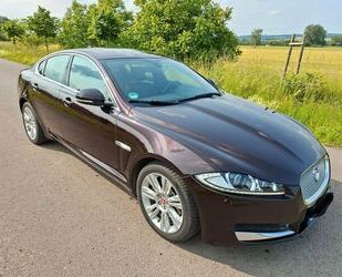 Jaguar XF Gebrauchtwagen