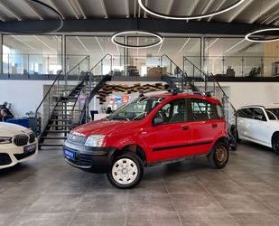 Fiat Panda Gebrauchtwagen