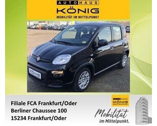 Fiat Panda Gebrauchtwagen