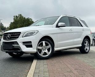 Mercedes-Benz ML 250 Gebrauchtwagen