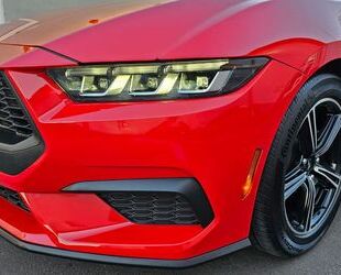 Ford Mustang Gebrauchtwagen