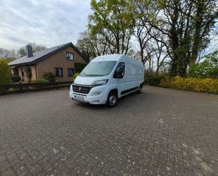 Fiat Ducato Gebrauchtwagen