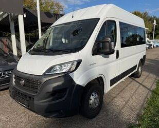 Fiat Ducato Gebrauchtwagen