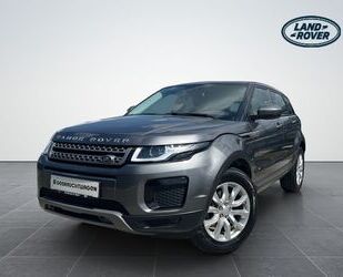Land Rover Range Rover Evoque Gebrauchtwagen