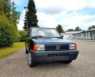 Fiat Panda Gebrauchtwagen