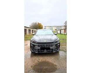 Cupra Terramar Gebrauchtwagen