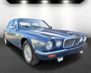 Jaguar Daimler Gebrauchtwagen