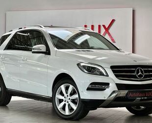 Mercedes-Benz ML 250 Gebrauchtwagen