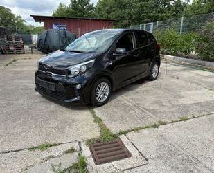 Kia Picanto Gebrauchtwagen