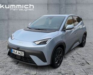 BYD DOLPHIN Gebrauchtwagen