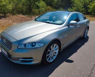 Jaguar XJ Gebrauchtwagen