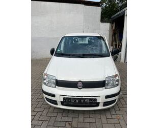 Fiat Panda Gebrauchtwagen