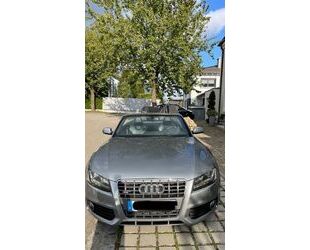 Audi S5 Gebrauchtwagen