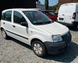 Fiat New Panda Gebrauchtwagen