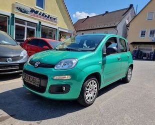Fiat New Panda Gebrauchtwagen