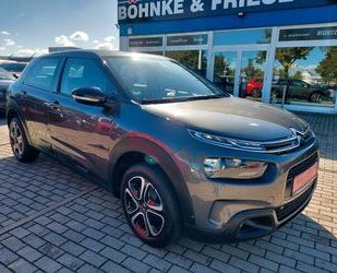 Citroen C4 Cactus Gebrauchtwagen