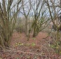 RUHEOASE ZUM ENTSPANNEN - 30.000,00&nbsp;EUR Kaufpreis, ca.&nbsp; 823,00&nbsp;m&sup2; in Eberbach (PLZ: 69412)