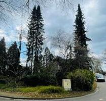 LAGEJUWEL MIT TEICHBLICK AM BERNER GUTSPARK - Hamburg Farmsen-Berne