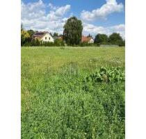 ZWISCHEN NATUR UND STADT  IHR NEUER LEBENSRAUM - Plau am See
