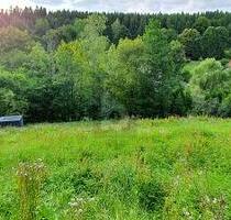 ATTRAKTIVER UND BEGEHRTER BAUGRUND - Suhl