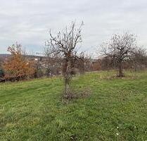 IDYLLISCHES FLECKEN NATUR - 150.900,00 EUR Kaufpreis, ca.  1.006,00 m² in Schönbrunn (PLZ: 96185)