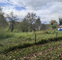 GUT UND NATURNAH GELEGEN - 380.000,00 EUR Kaufpreis, ca.  600,00 m² in Müllheim (PLZ: 79379)